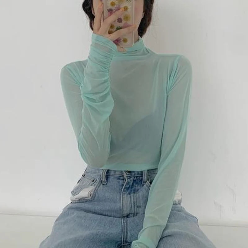Mesh Turtleneck Long Sleeve Top